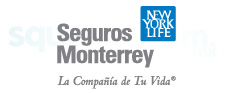 logo Seguros Monterrey