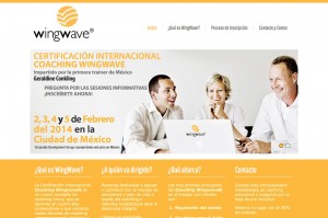 WingWave - CDG Mxico